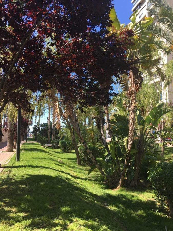 Agua Marina Levante Appartement